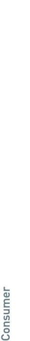 Consumer