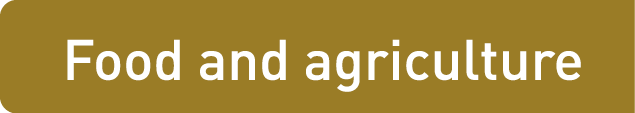 Food and agriculture