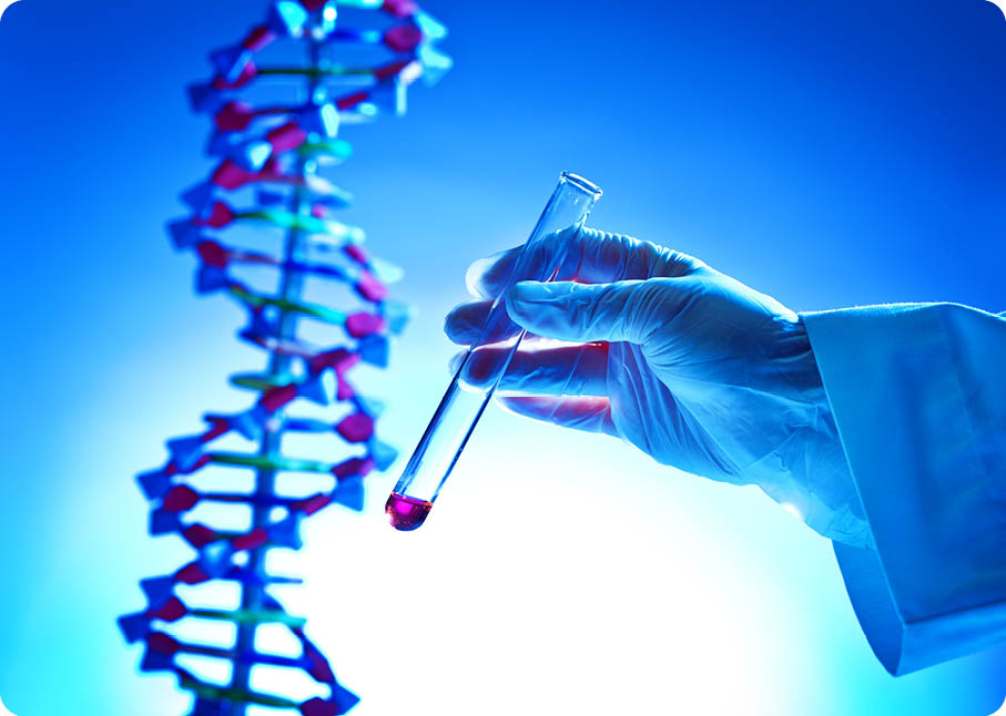 The Testing of DNA molecules concept design 